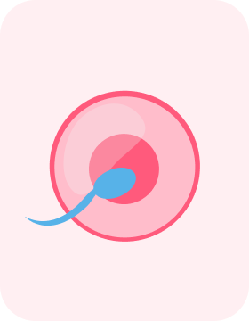 زمان اقدام به بارداری